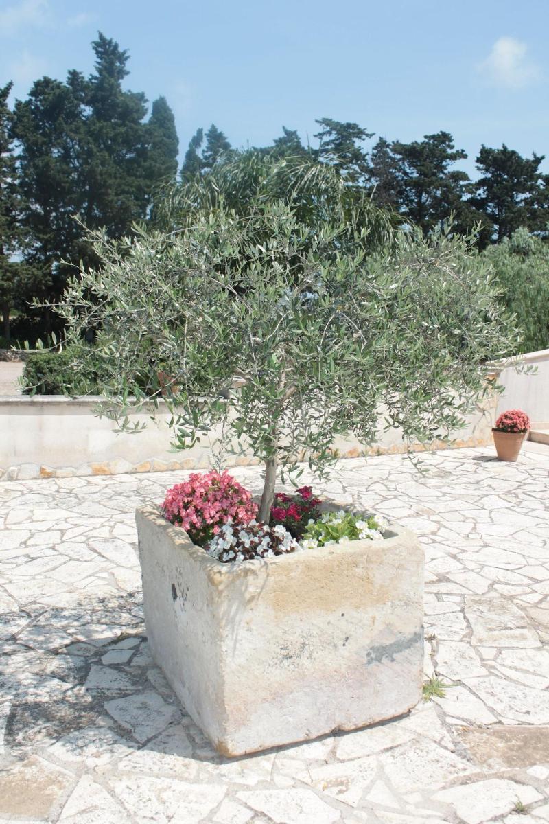 Tenuta Turchi Otranto Eksteriør bilde